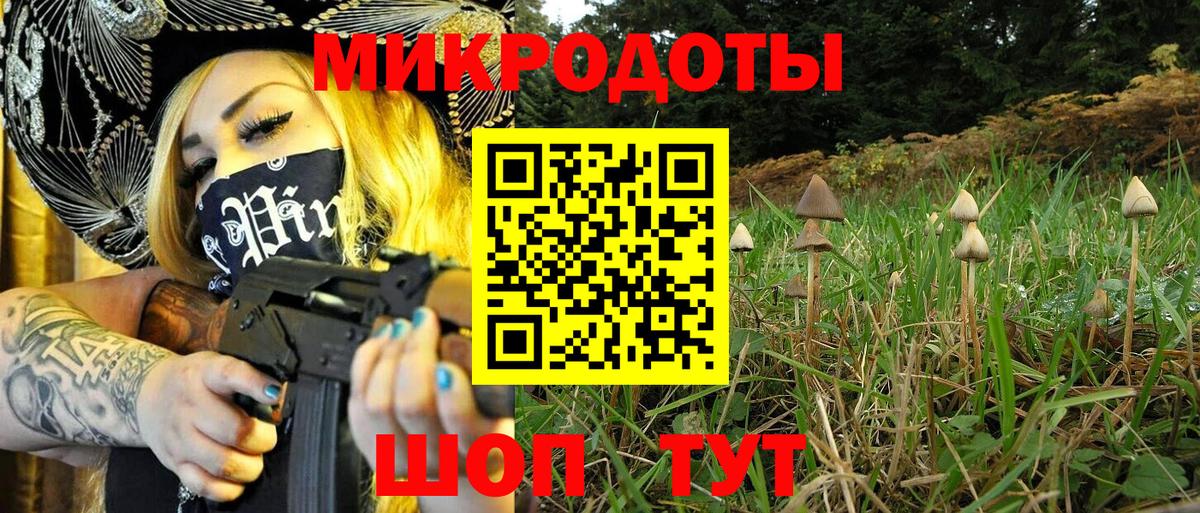 Кизляр  Псилоцибиновые грибы прущие грибы  Вход с VPN 