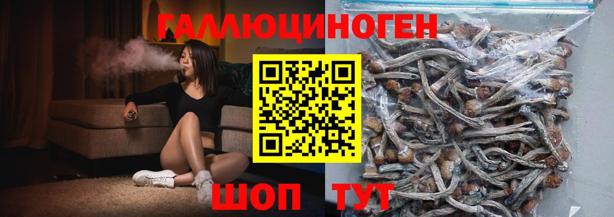 Псилоцибиновые грибы мухоморы Кизляр